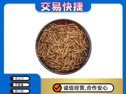 宣恩县回收散虫草